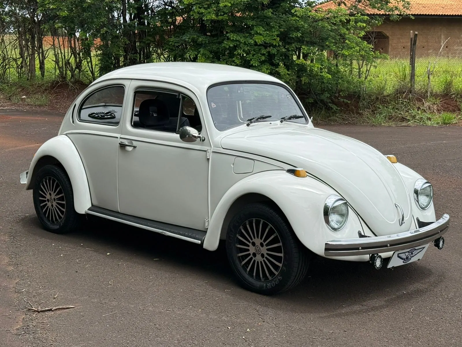 WhatsApp Image 2026-01-20 at 14.34.03 (1)