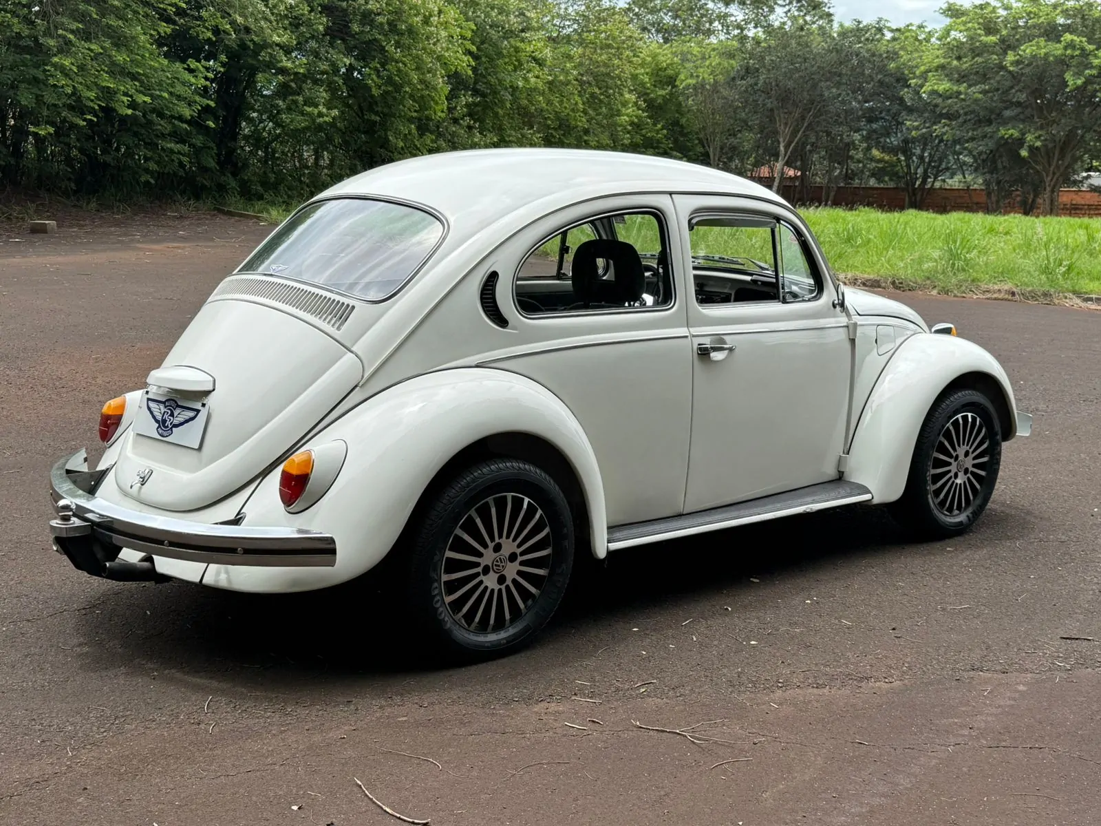 WhatsApp Image 2026-01-20 at 14.34.05 (1)