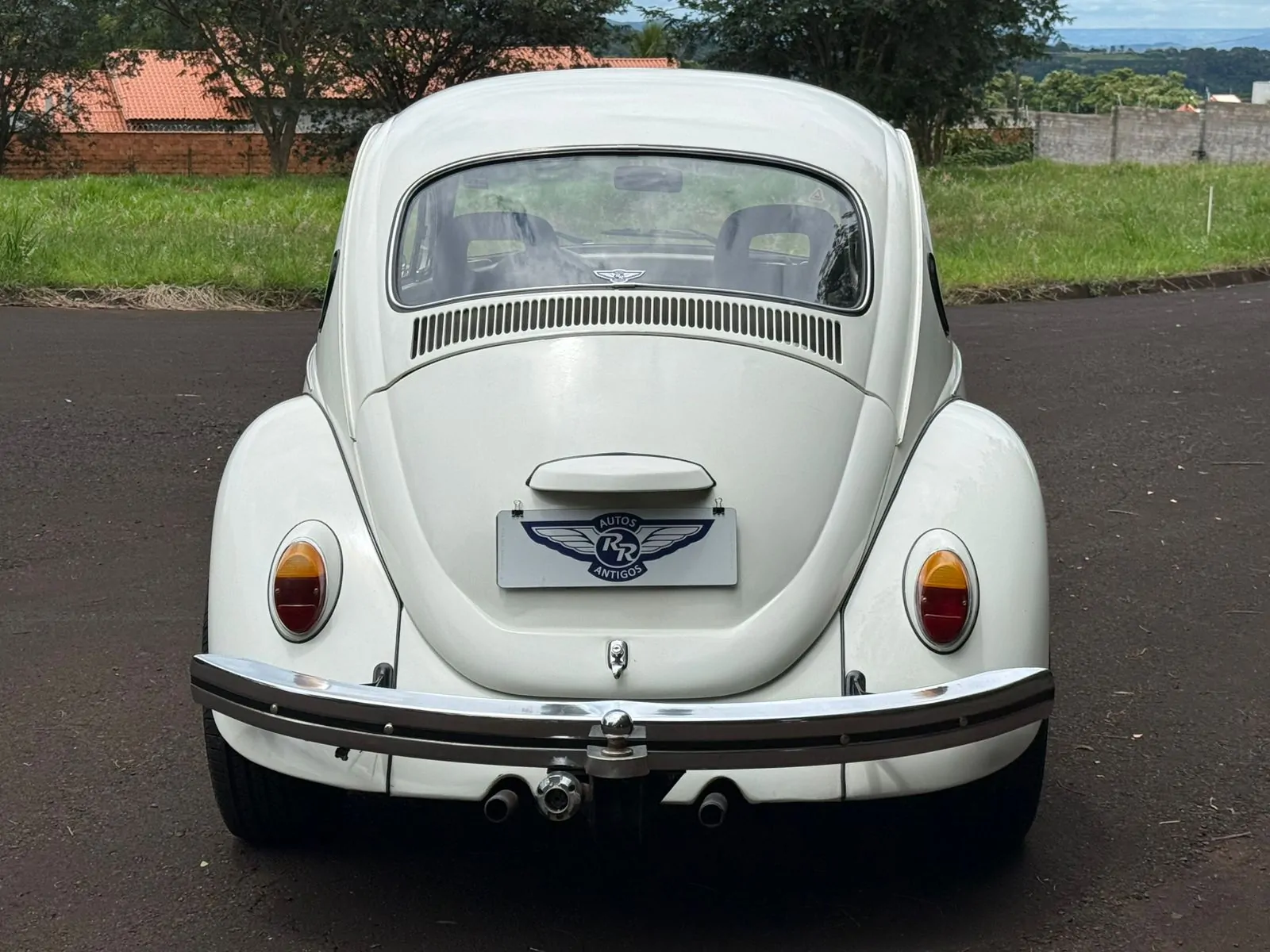 WhatsApp Image 2026-01-20 at 14.34.05 (2)