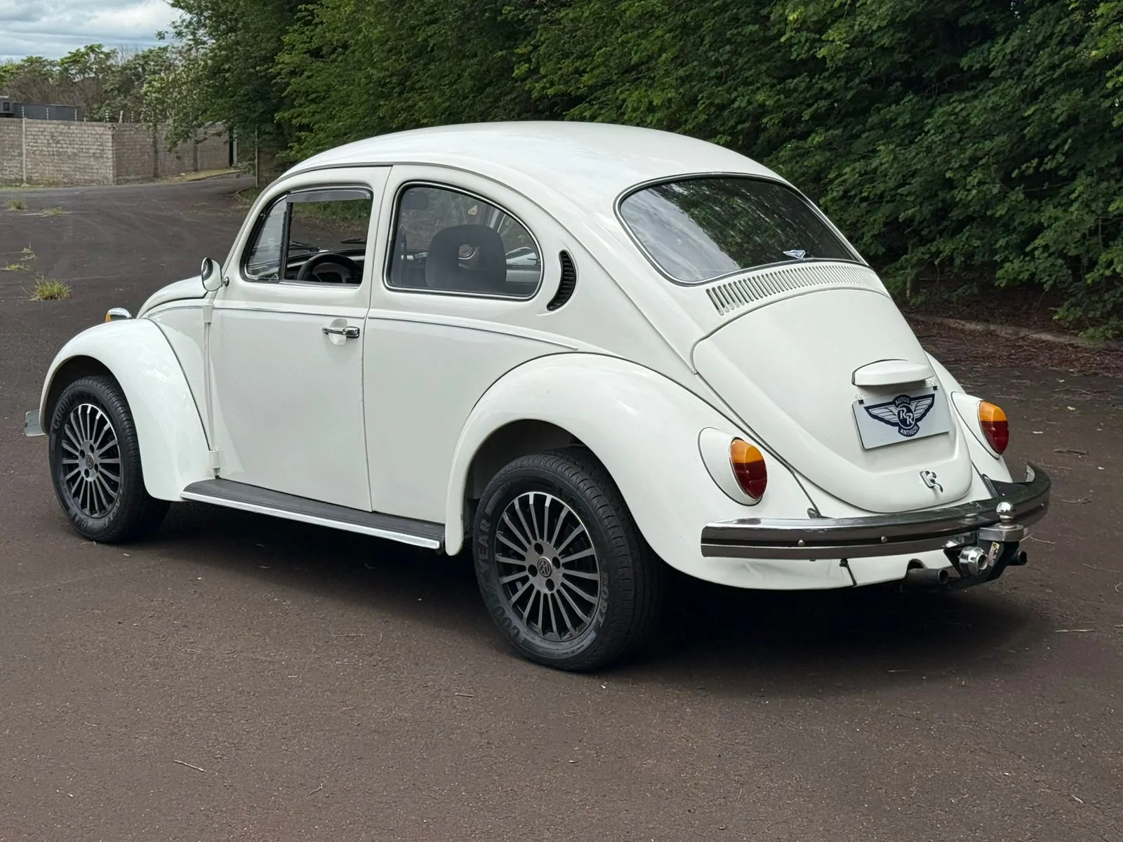 WhatsApp Image 2026-01-20 at 14.34.05 (3)