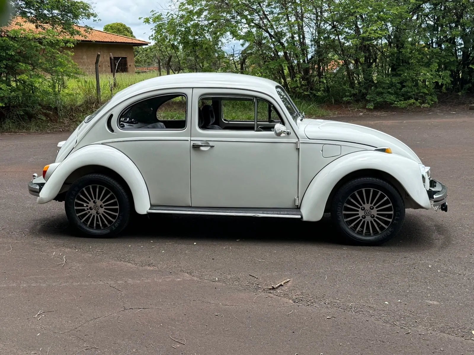 WhatsApp Image 2026-01-20 at 14.34.05