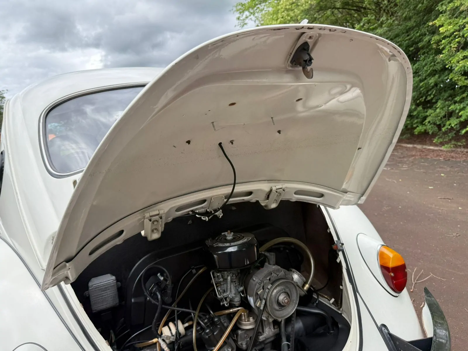 WhatsApp Image 2026-01-20 at 14.34.07 (1)