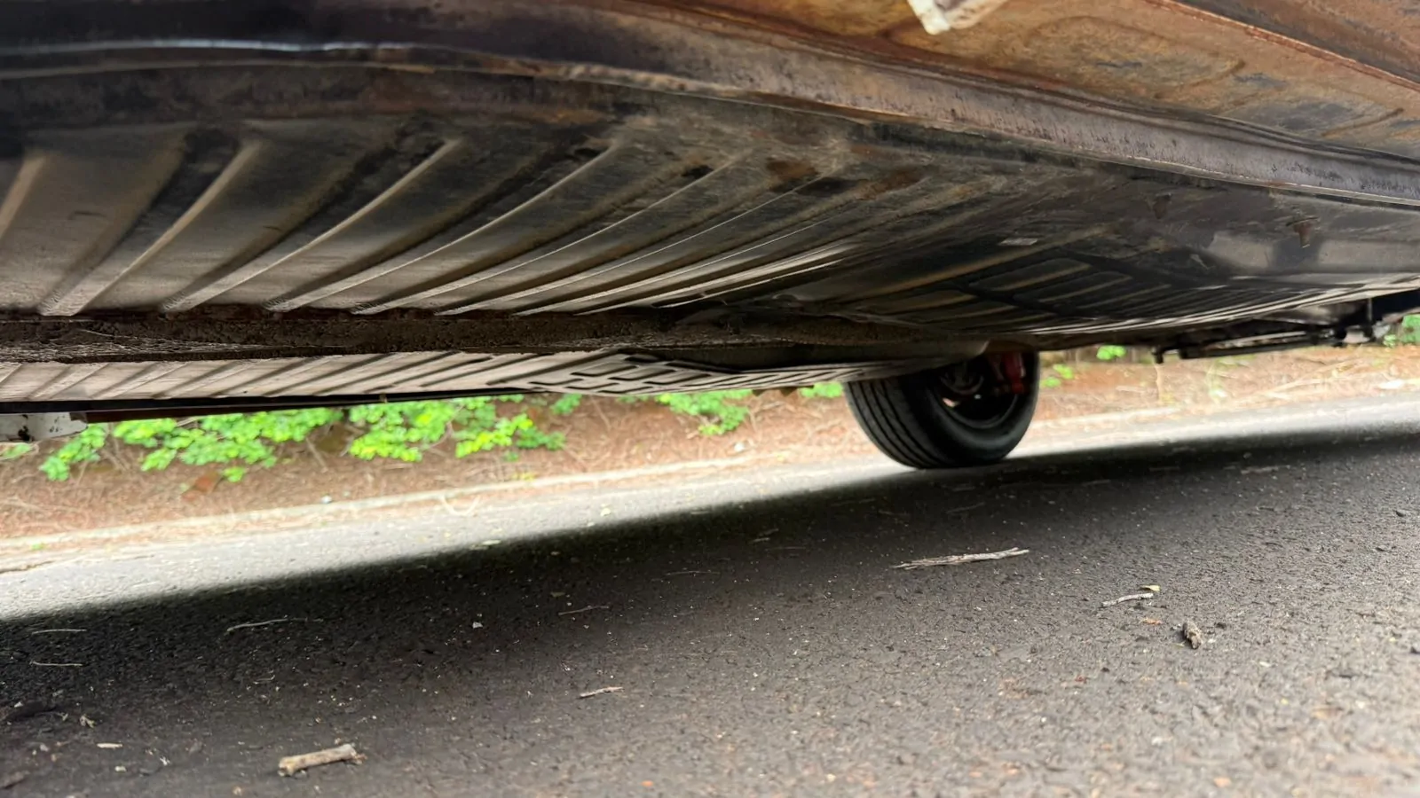 WhatsApp Image 2026-01-20 at 14.34.07 (4)