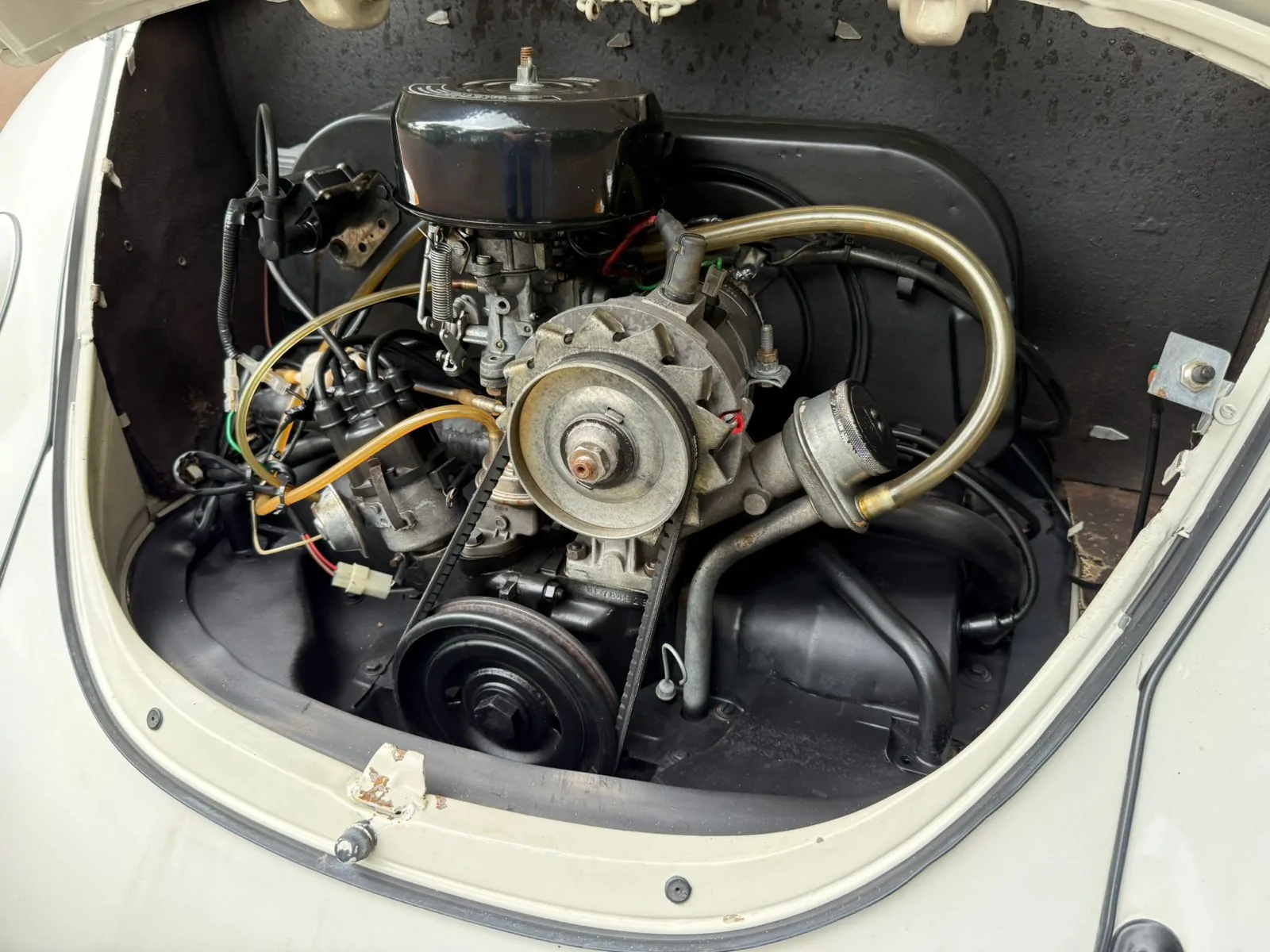 WhatsApp Image 2026-01-20 at 14.34.07