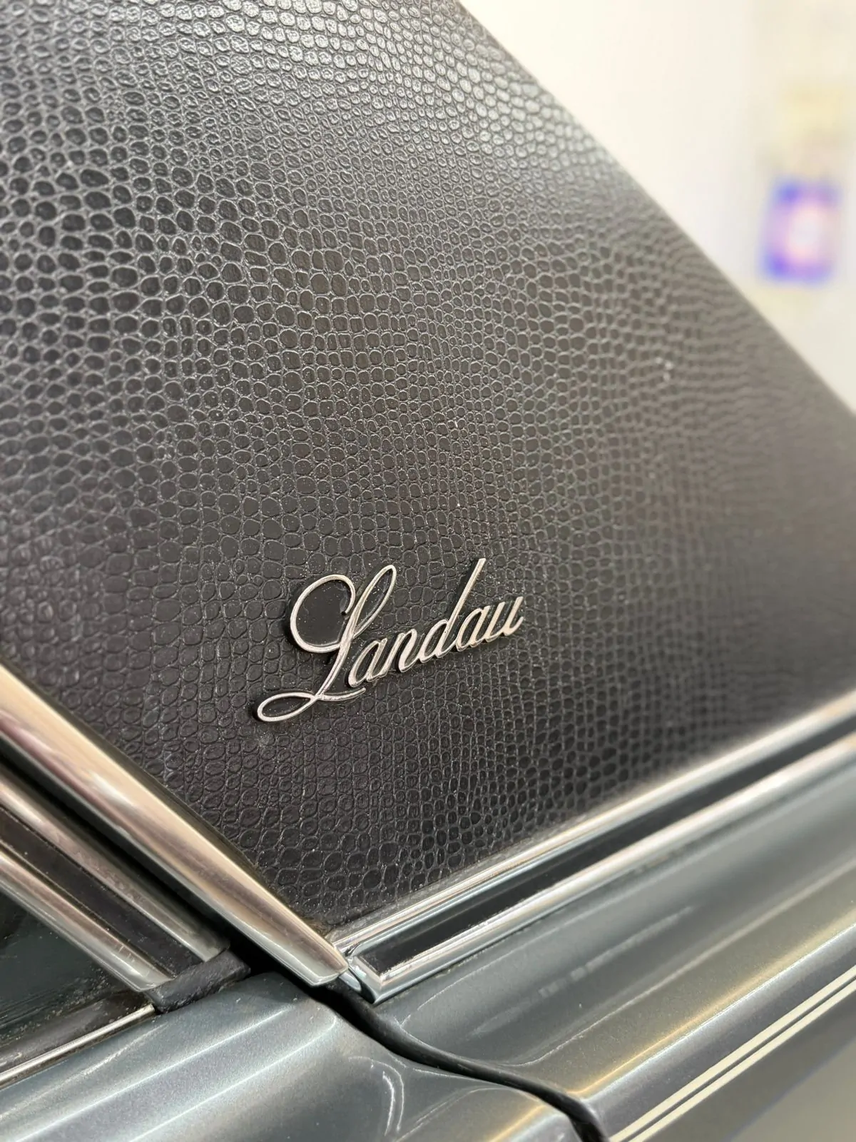 WhatsApp Image 2026-01-23 at 11.57.18 (2)