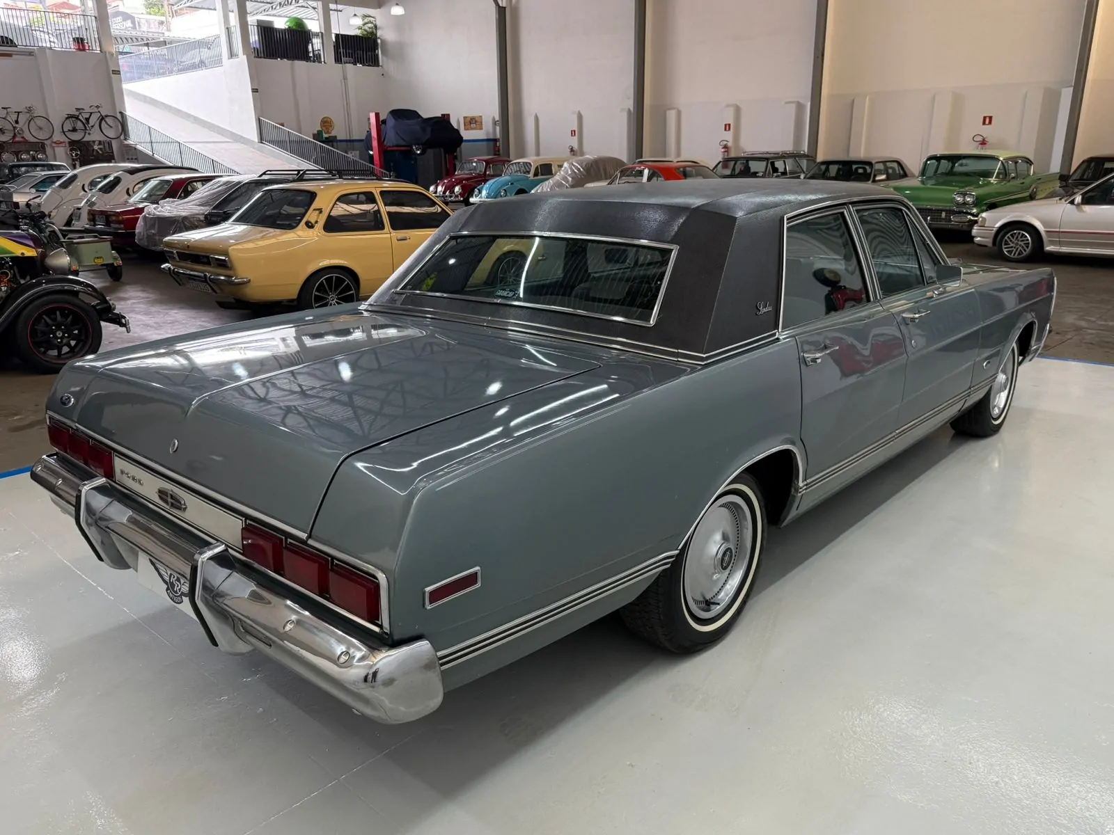 WhatsApp Image 2026-01-23 at 11.57.19 (4)