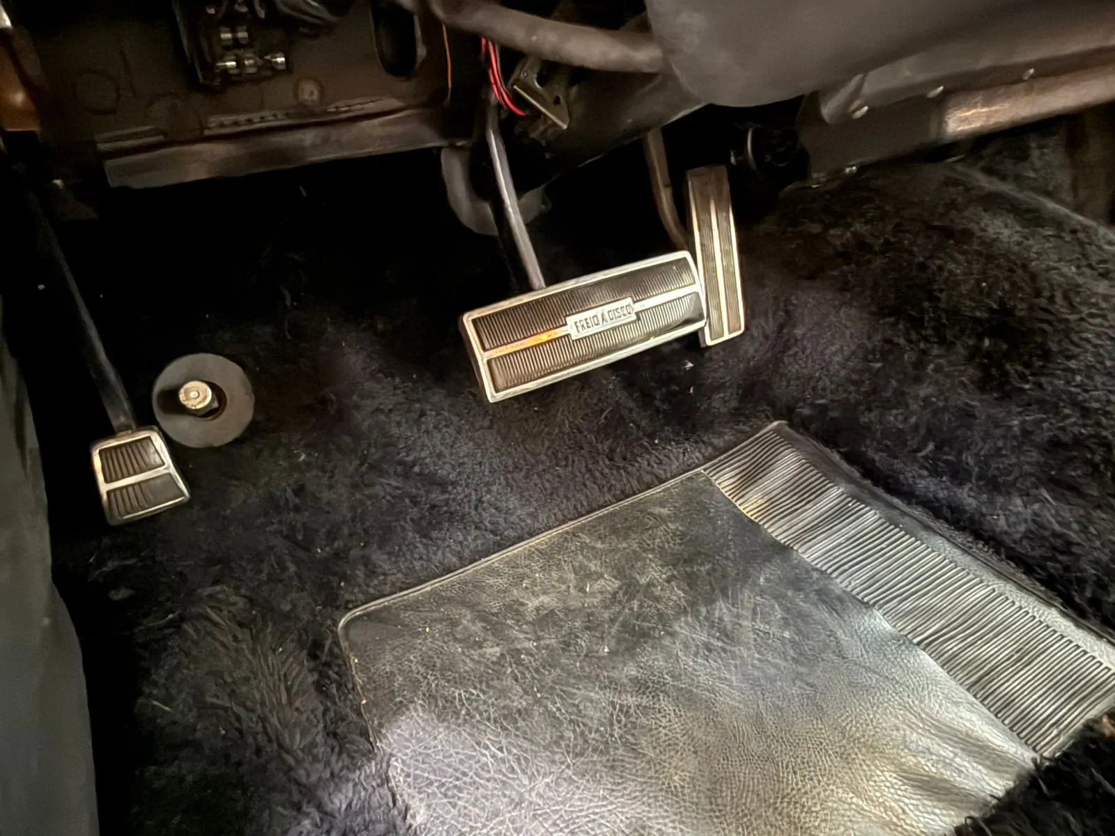 WhatsApp Image 2026-01-23 at 11.57.20 (5)