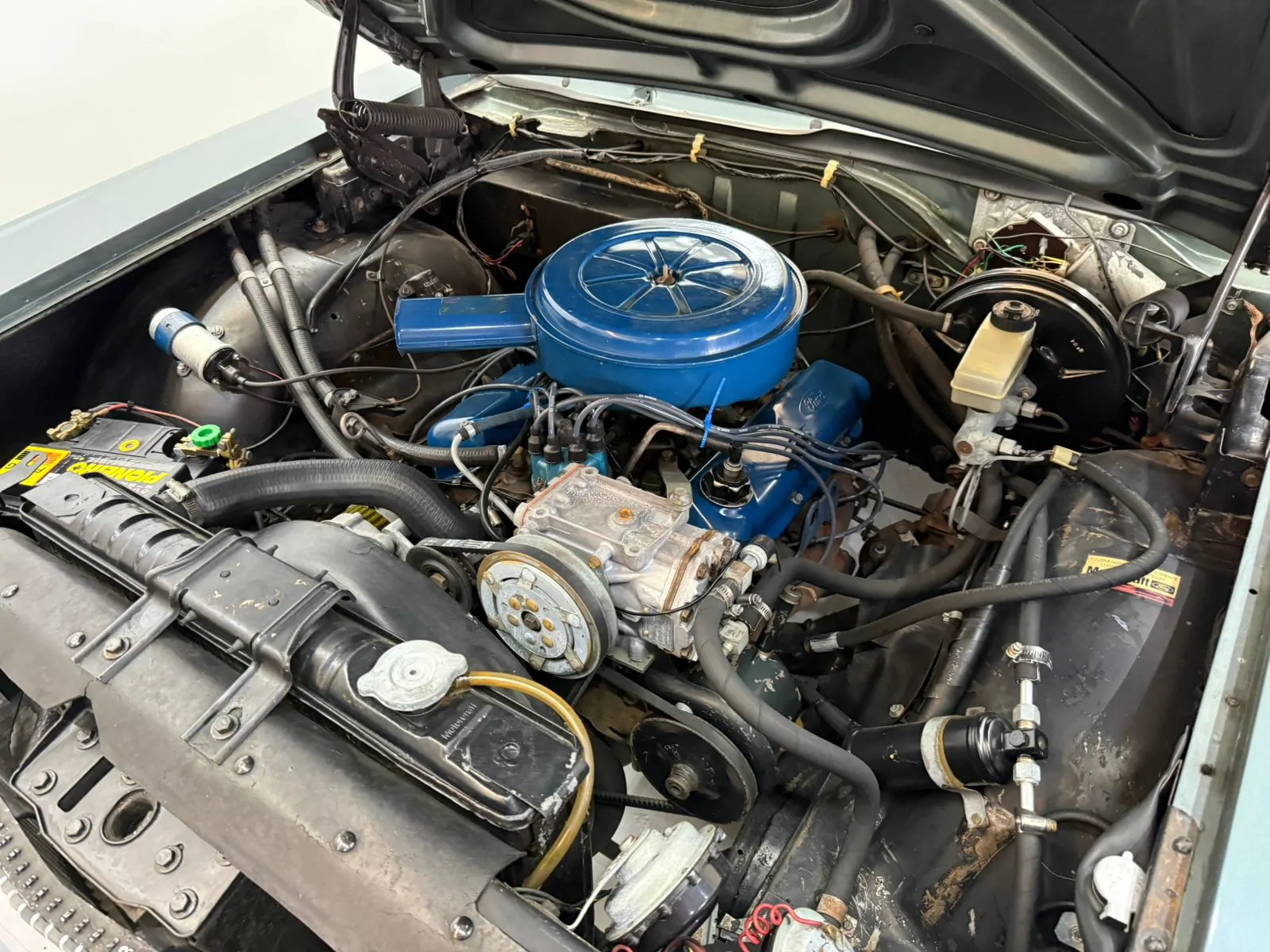 WhatsApp Image 2026-01-23 at 11.57.22 (3)