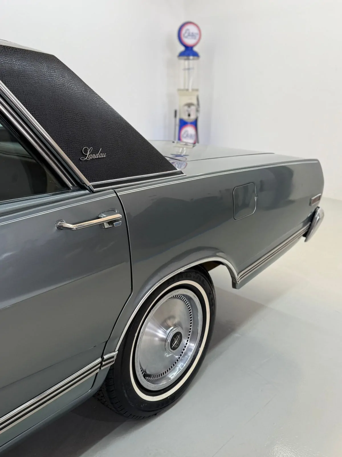 WhatsApp Image 2026-01-23 at 11.57.22