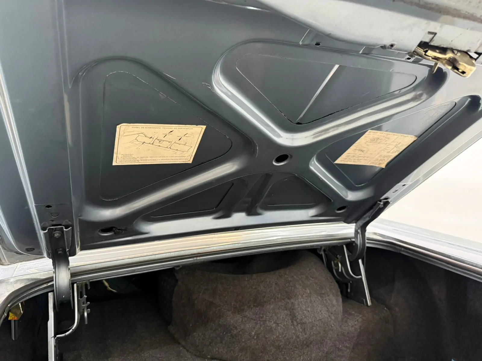 WhatsApp Image 2026-01-23 at 11.57.23