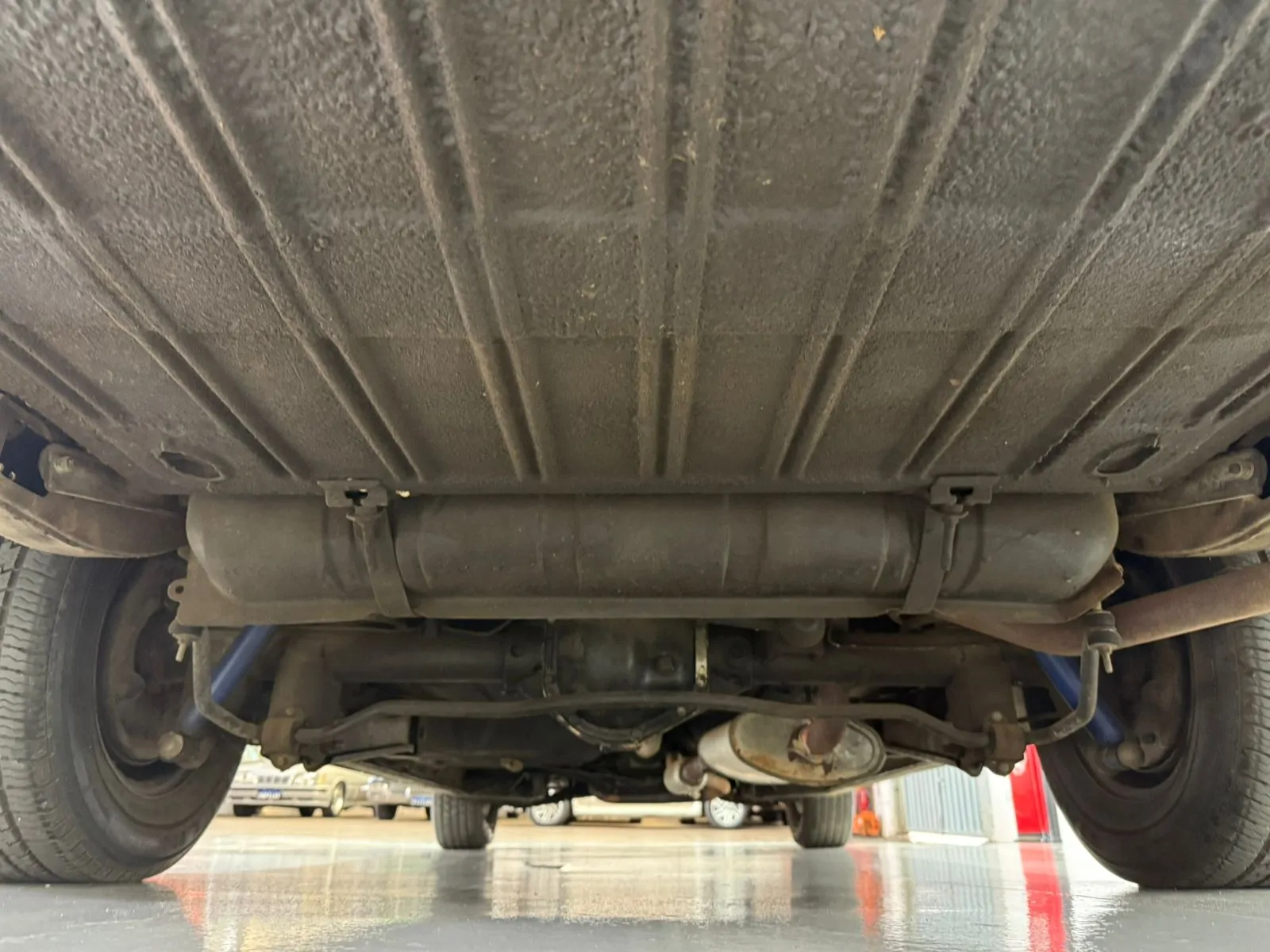 WhatsApp Image 2026-01-23 at 11.57.24 (1)