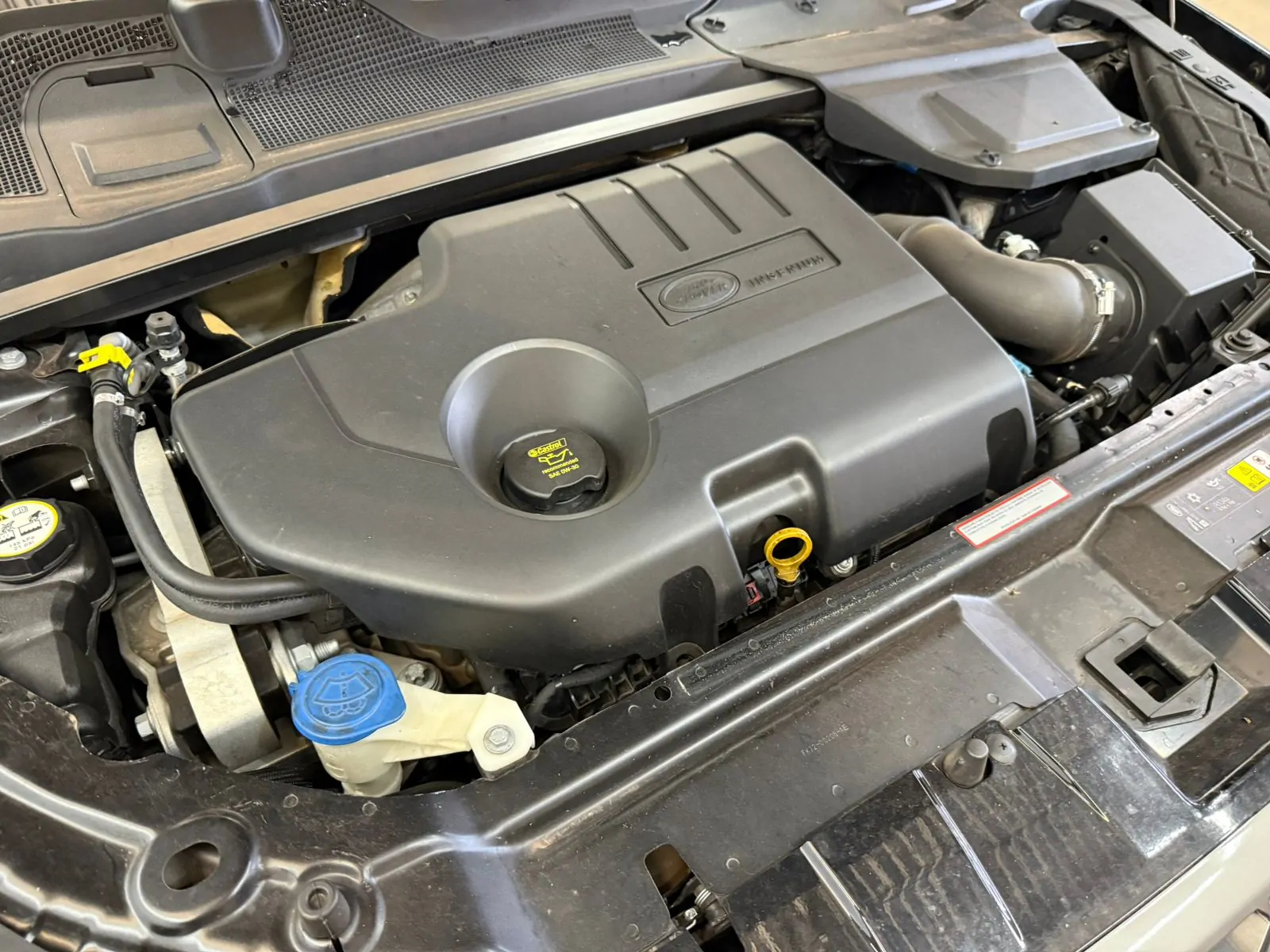 WhatsApp Image 2026-02-03 at 08.29.59 WhatsApp Image 2026-02-03 at 08.29.59