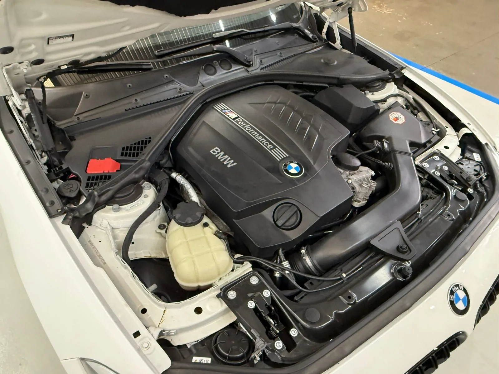 WhatsApp Image 2026-02-04 at 09.09.53 (2)