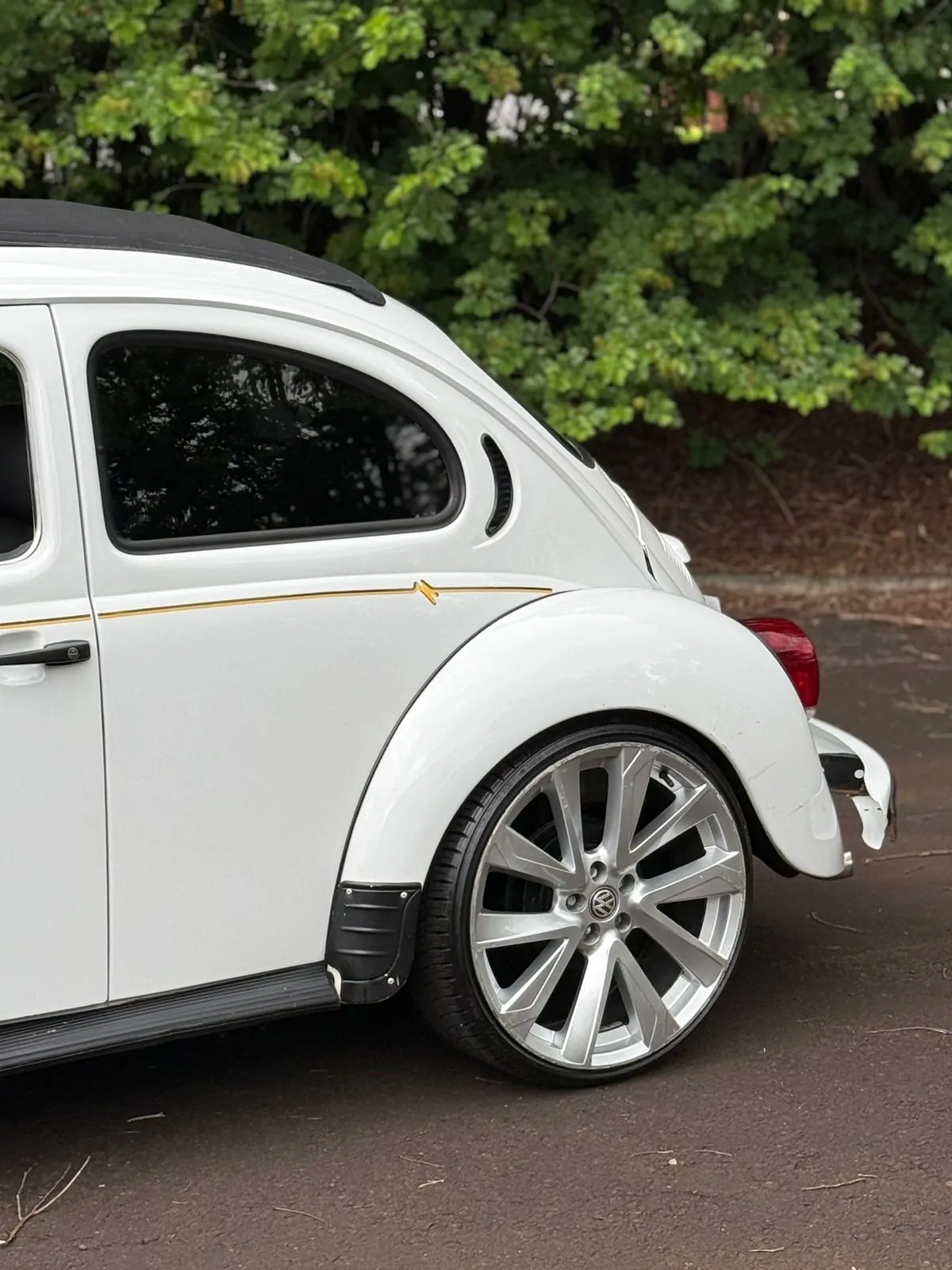 WhatsApp Image 2026-02-05 at 09.00.46 (1)