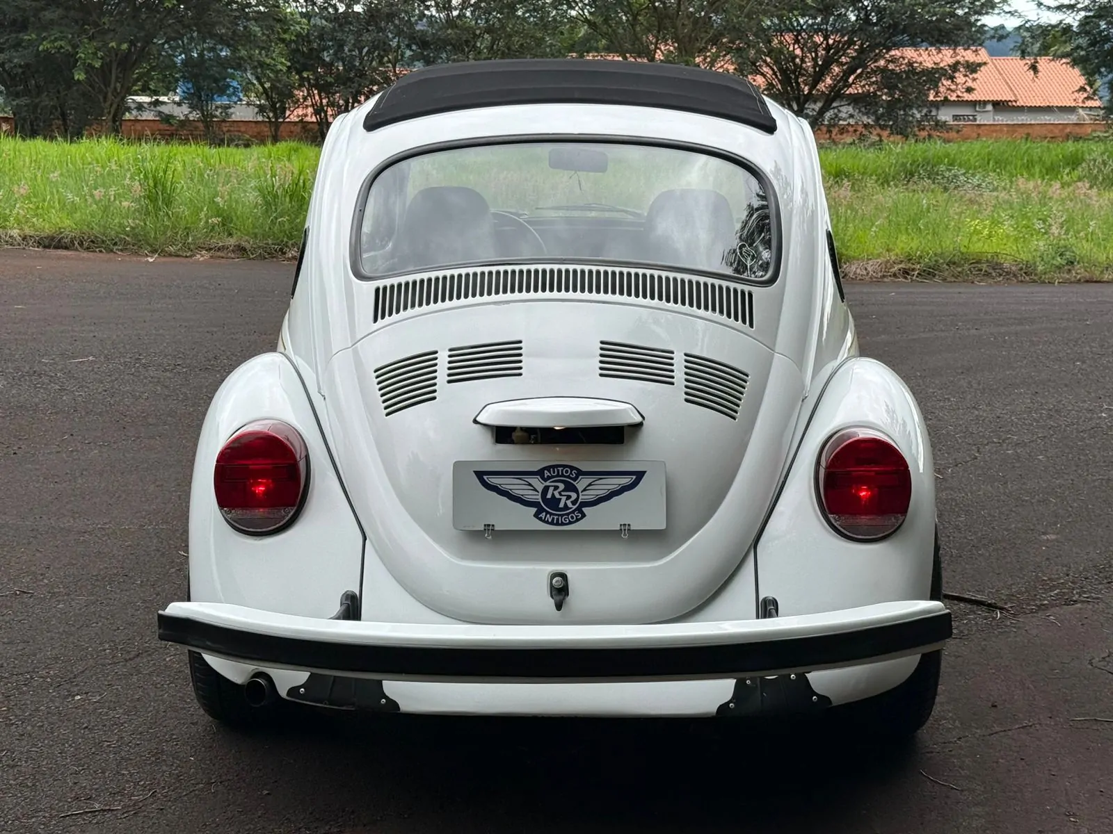 WhatsApp Image 2026-02-05 at 09.00.47 (1)