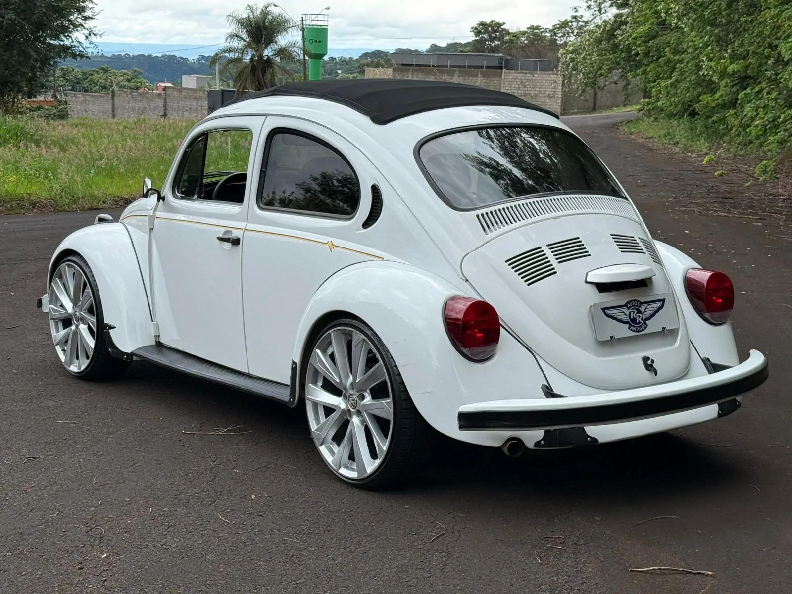 WhatsApp Image 2026-02-05 at 09.00.47 (2)