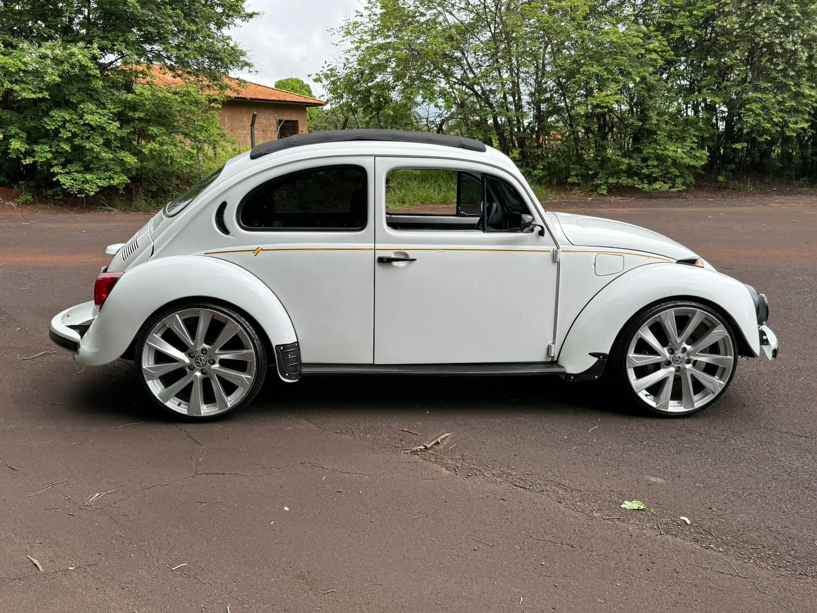 WhatsApp Image 2026-02-05 at 09.00.47