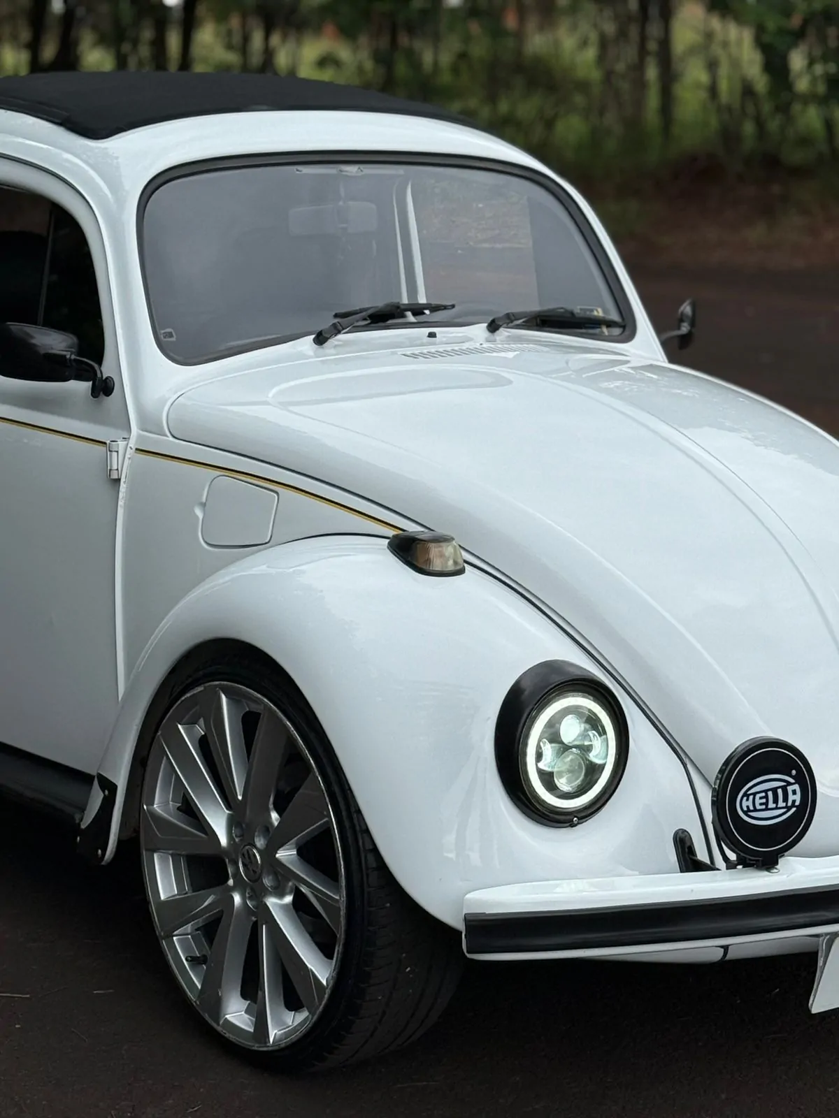 WhatsApp Image 2026-02-05 at 09.00.51