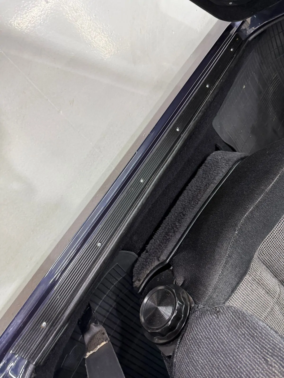 WhatsApp Image 2026-02-05 at 11.54.34