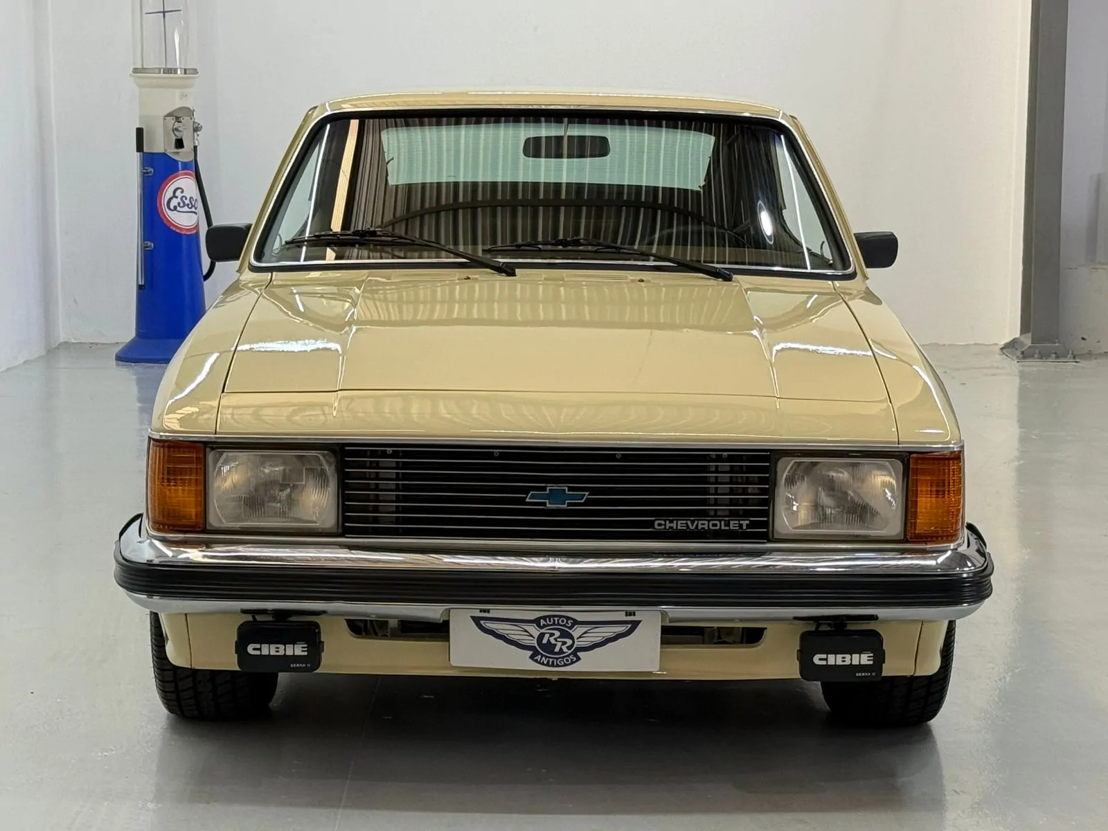 WhatsApp Image 2026-02-12 at 08.39.05 (1)