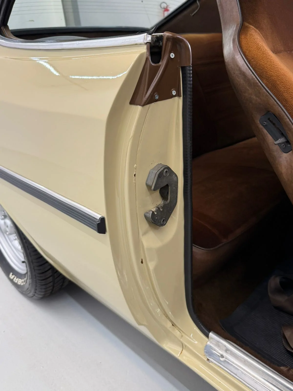 WhatsApp Image 2026-02-12 at 08.39.06 (3)