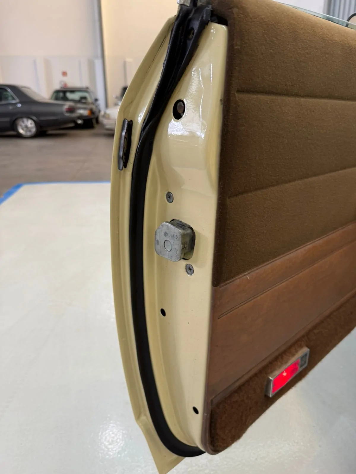 WhatsApp Image 2026-02-12 at 08.39.06 (6)