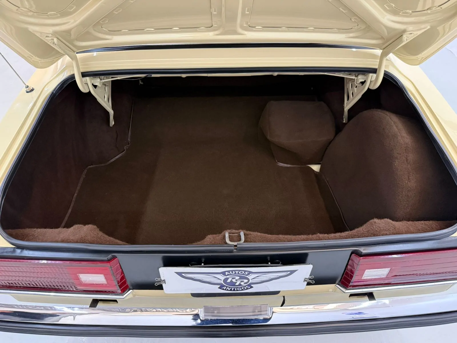 WhatsApp Image 2026-02-12 at 08.39.07 (2)