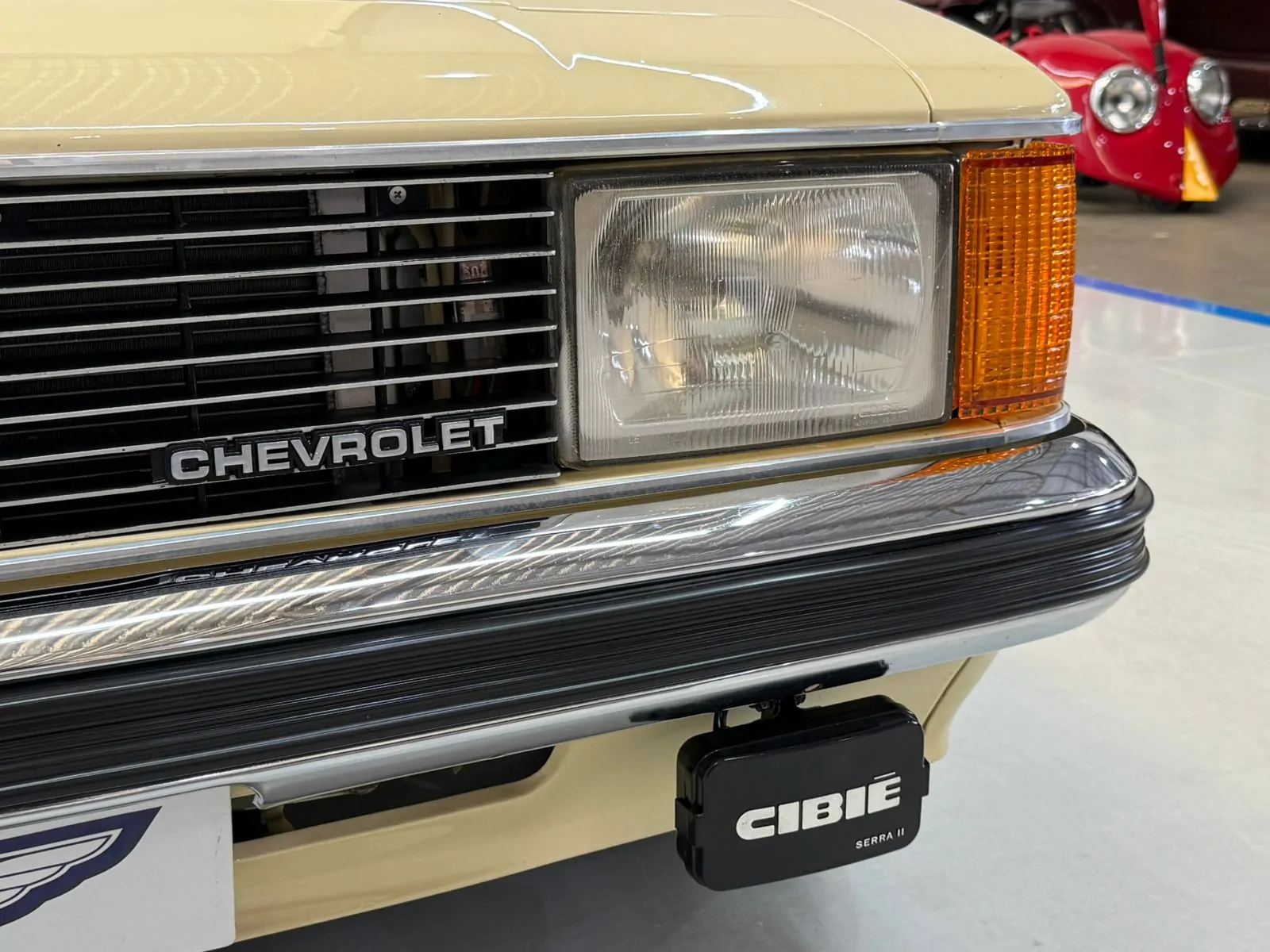 WhatsApp Image 2026-02-12 at 08.39.07