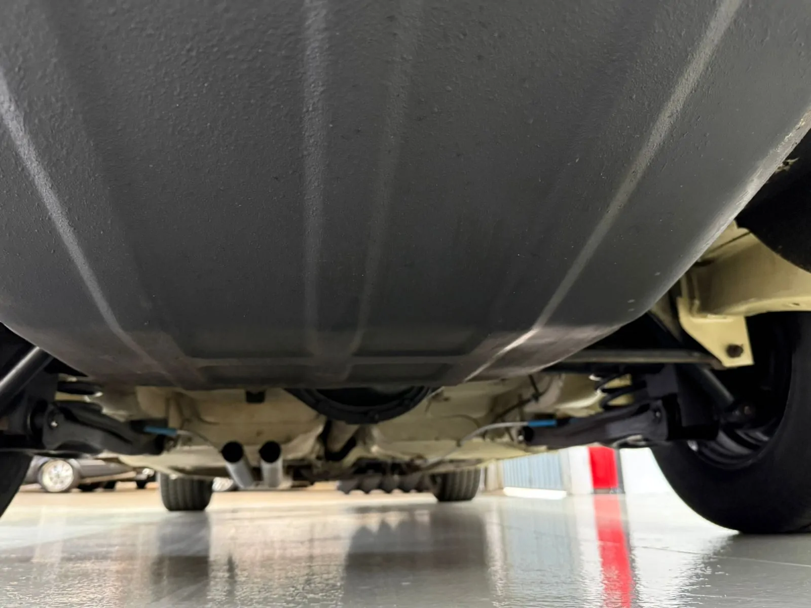 WhatsApp Image 2026-02-12 at 08.39.08 (2)