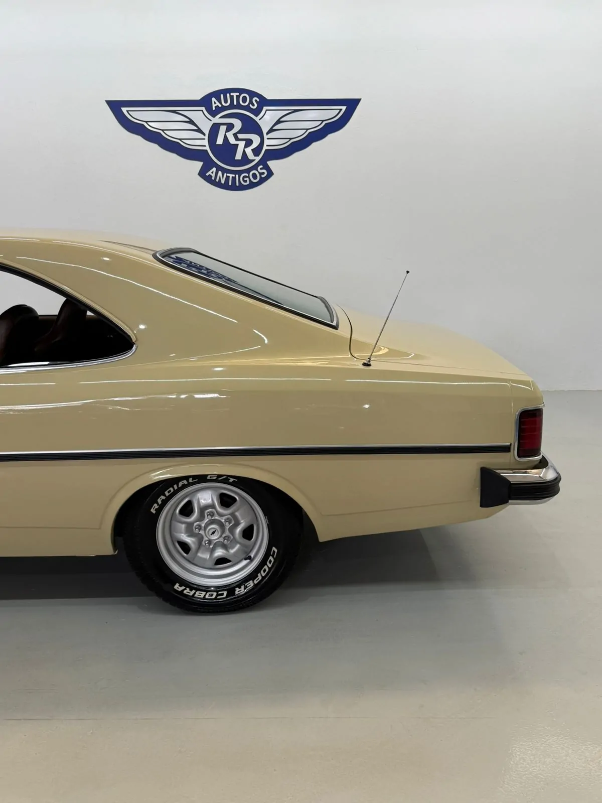 WhatsApp Image 2026-02-12 at 08.39.08