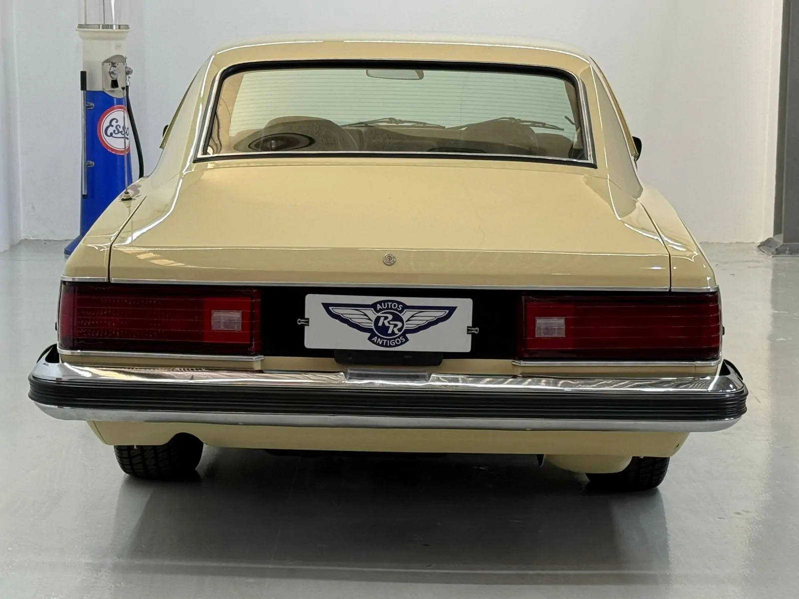 WhatsApp Image 2026-02-12 at 08.40.51 (1)