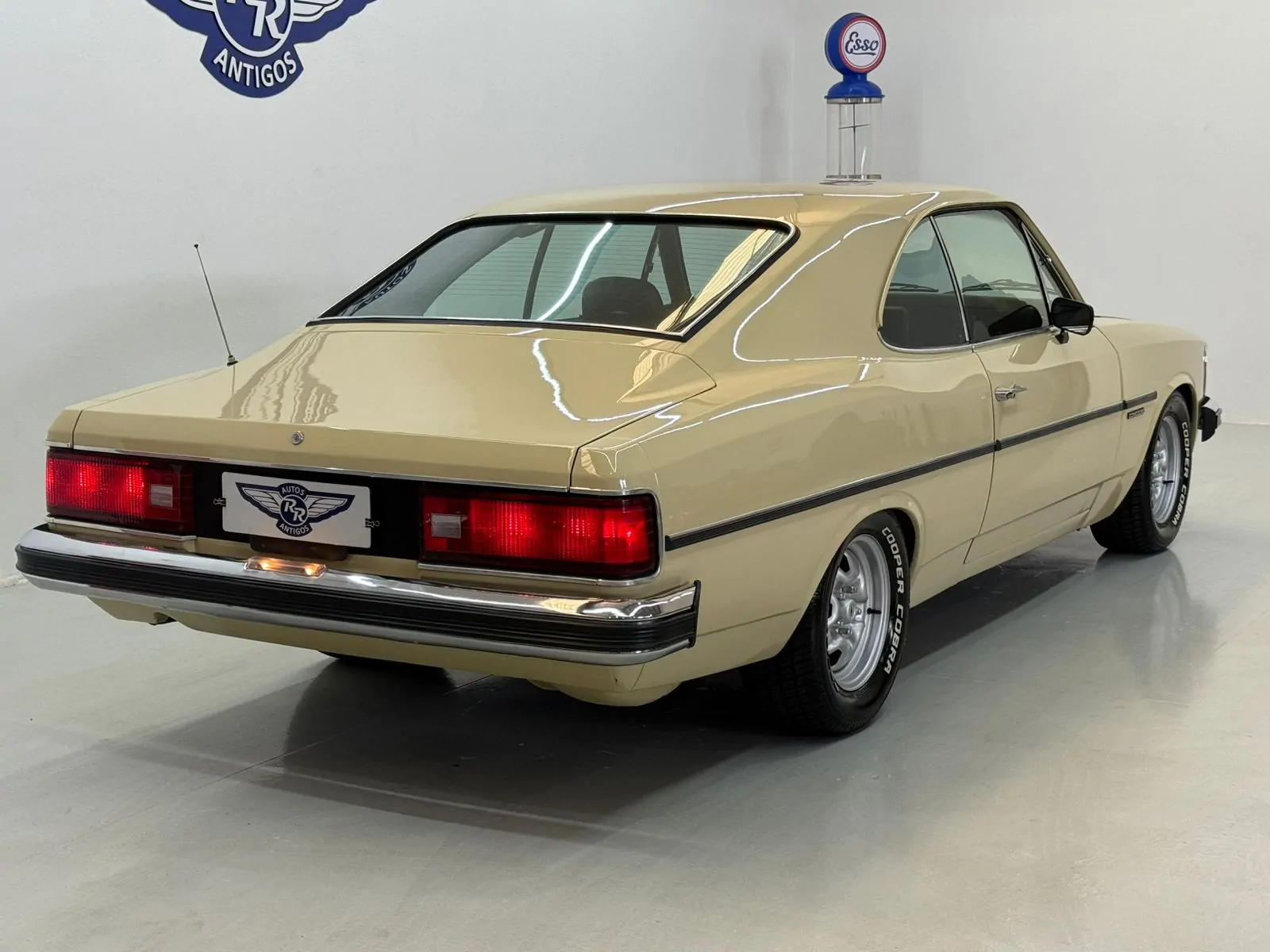 WhatsApp Image 2026-02-12 at 08.40.51