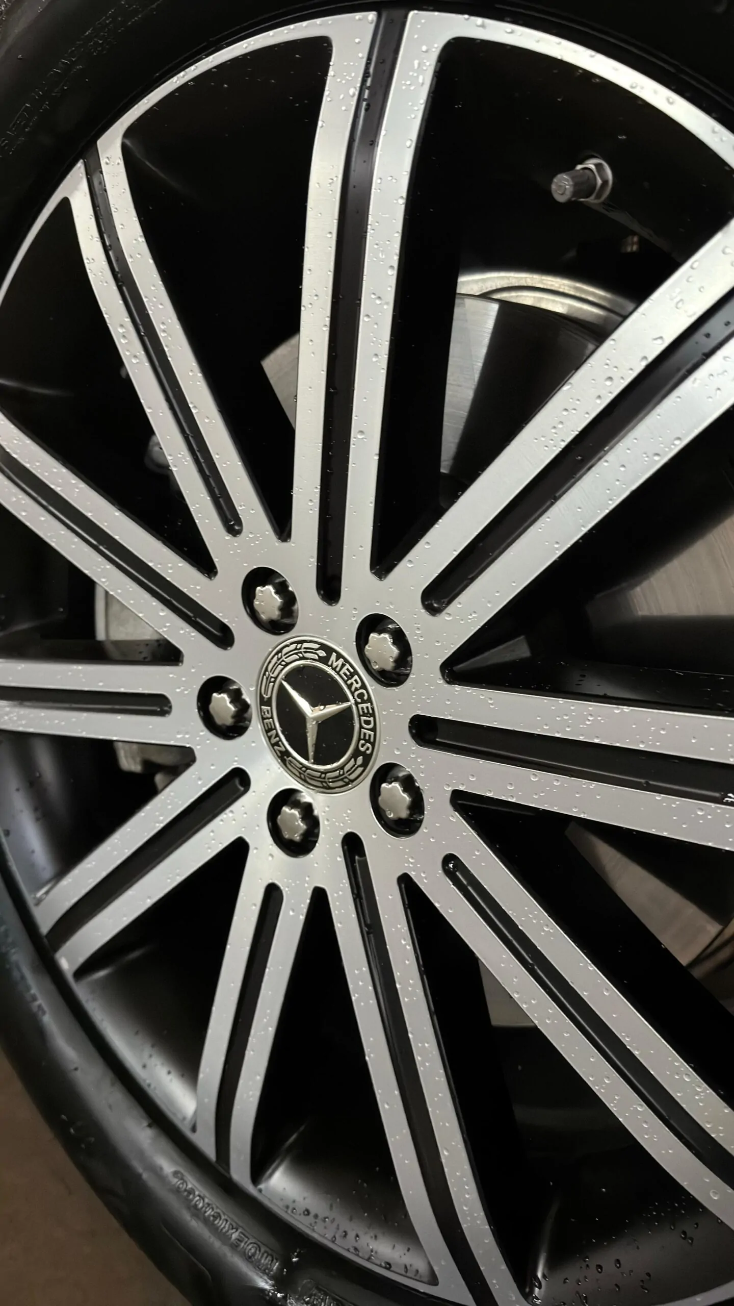 WhatsApp Image 2026-02-20 at 10.48.21 (5)