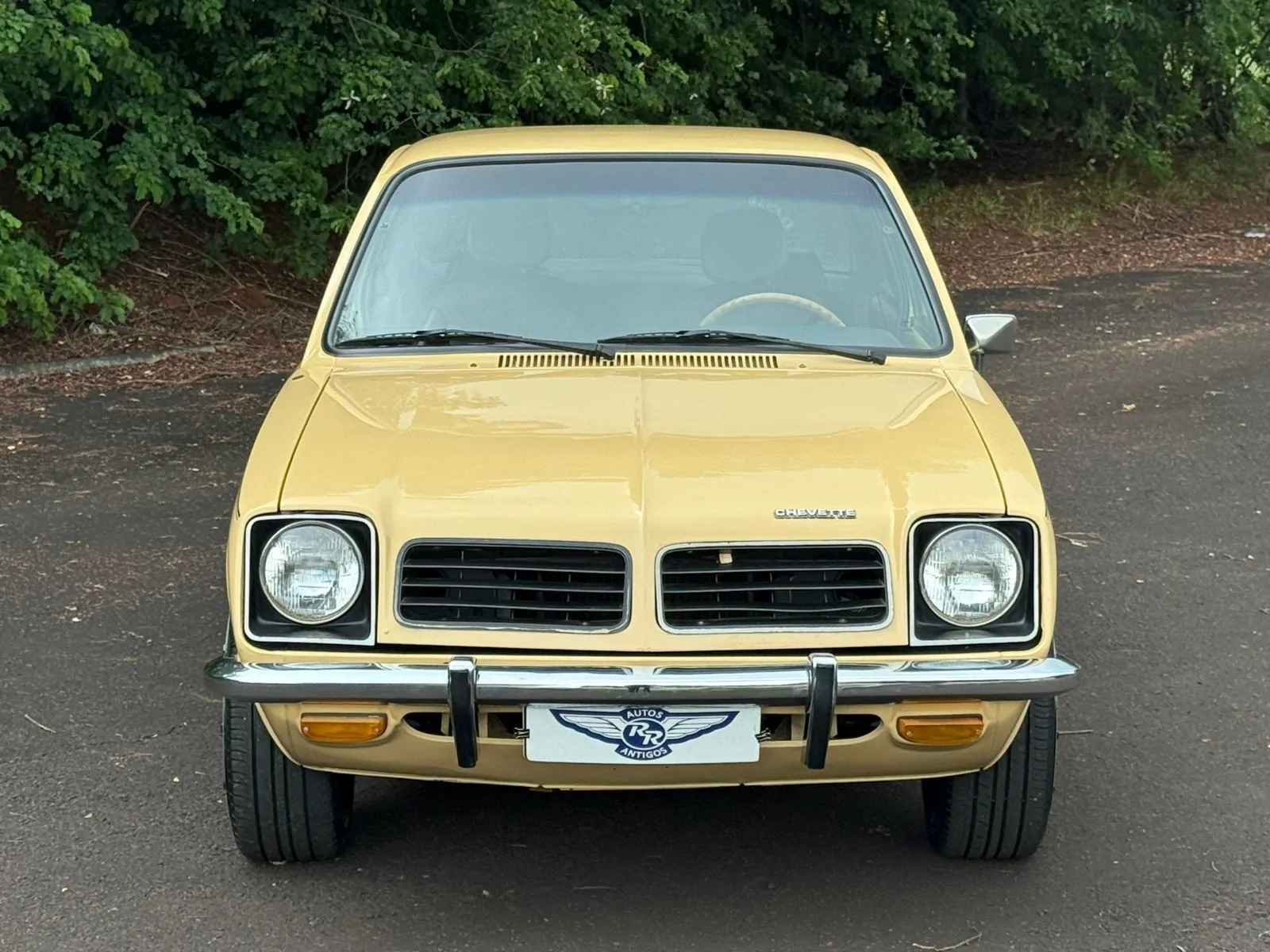 WhatsApp Image 2026-02-23 at 13.32.44 (1)