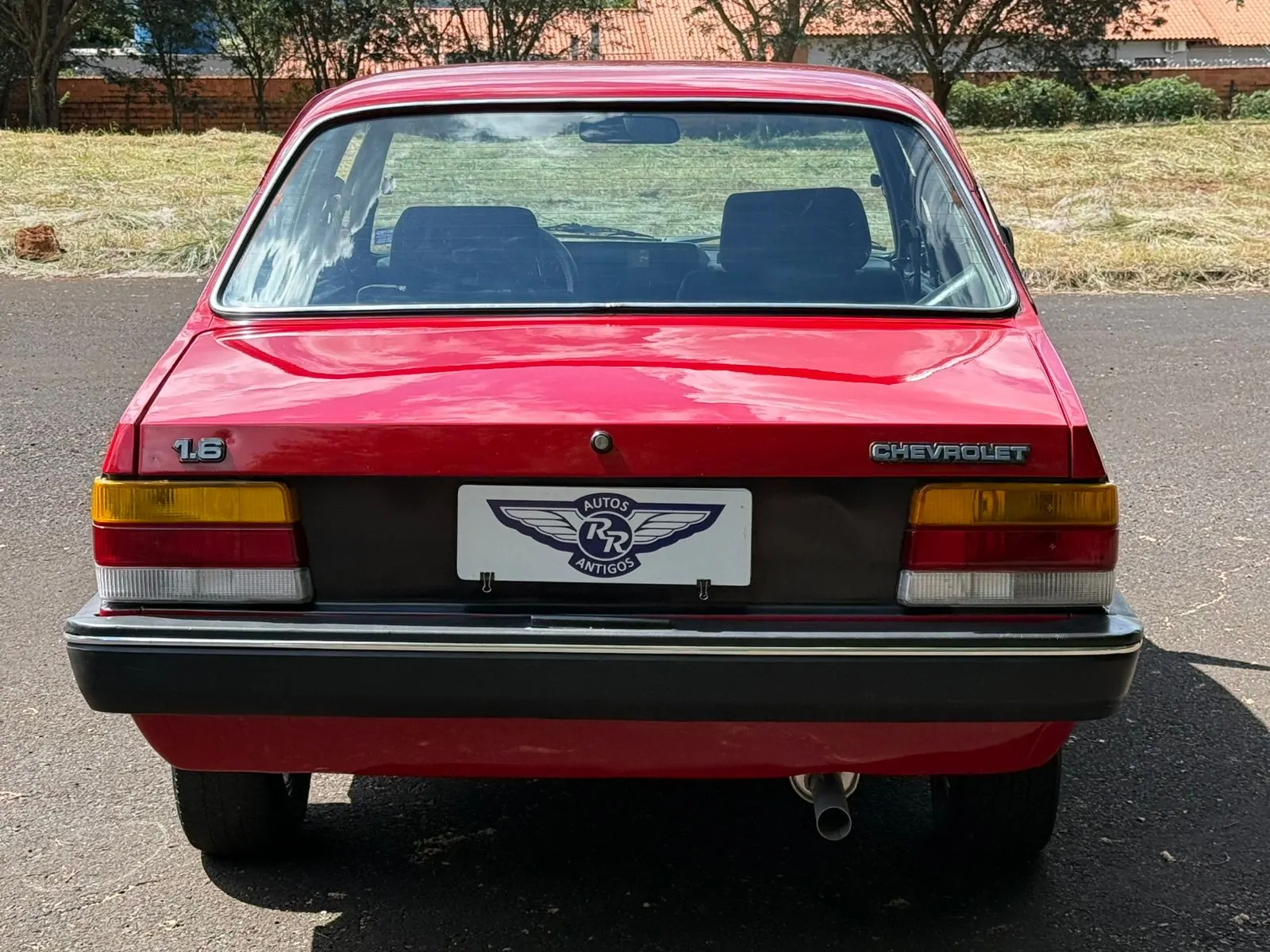 WhatsApp Image 2026-03-05 at 15.58.26 (1)