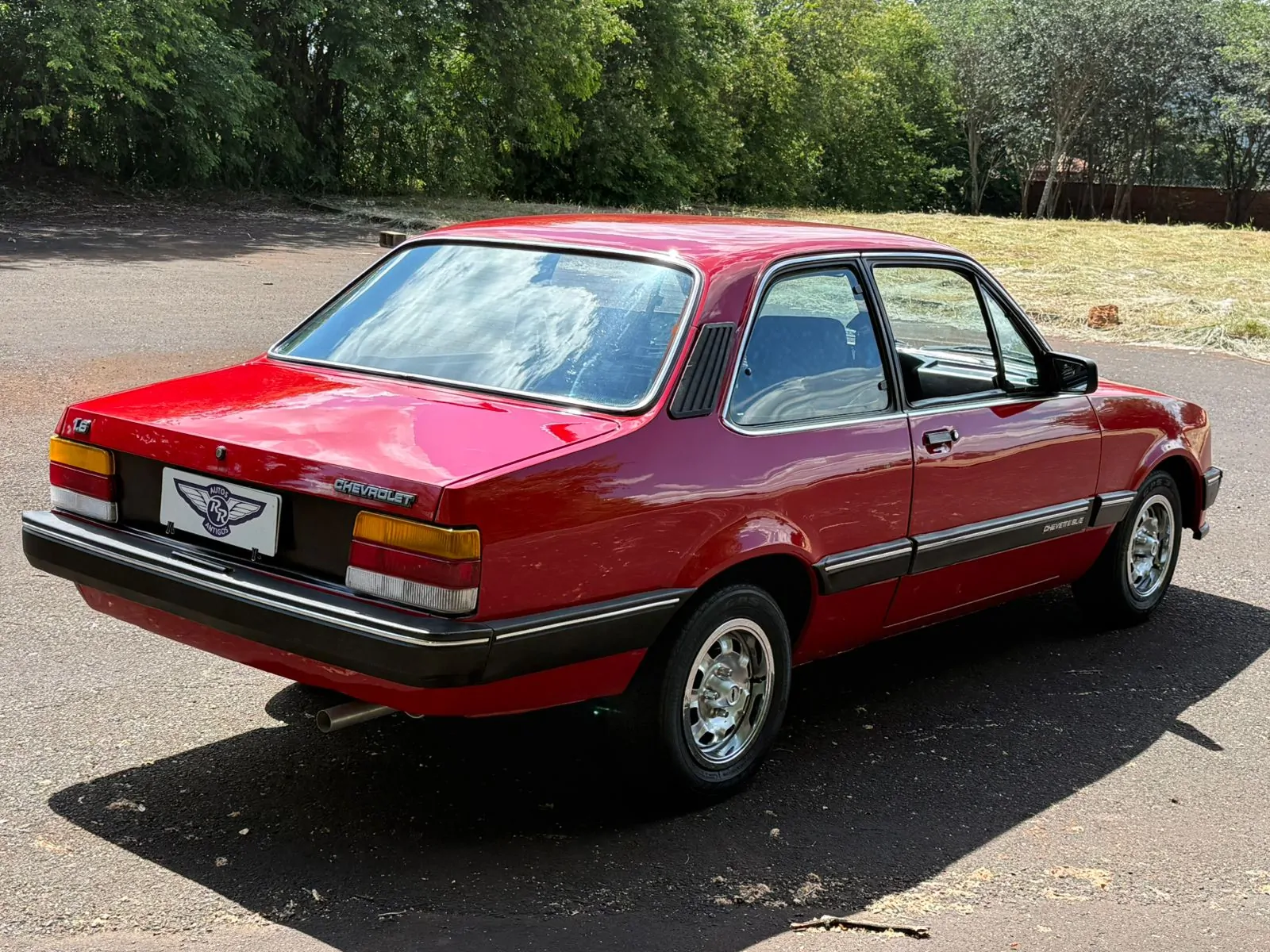 WhatsApp Image 2026-03-05 at 15.58.27