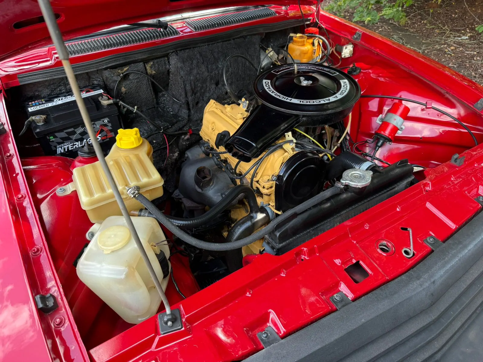 WhatsApp Image 2026-03-05 at 15.58.28 (1)