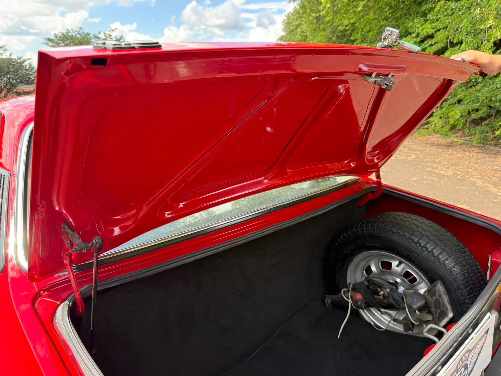 WhatsApp Image 2026-03-05 at 15.58.28 (4)