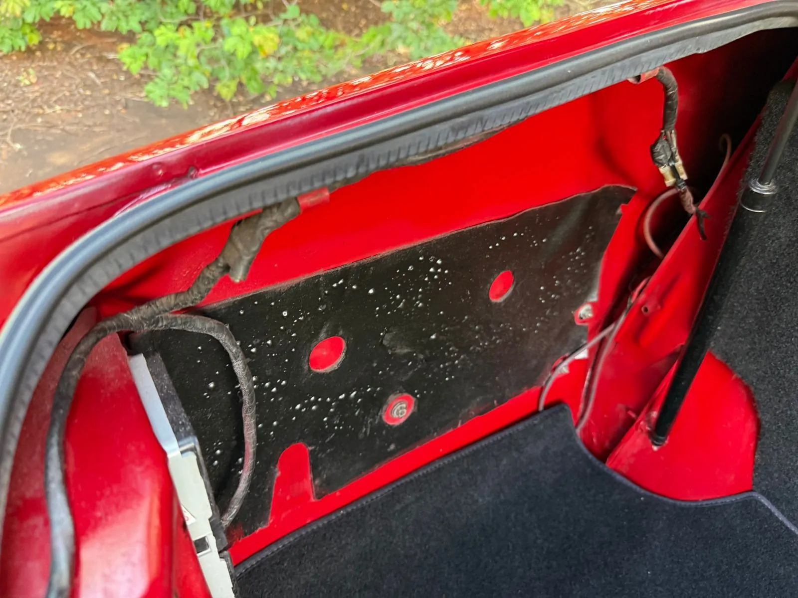 WhatsApp Image 2026-03-05 at 15.58.29 (1)