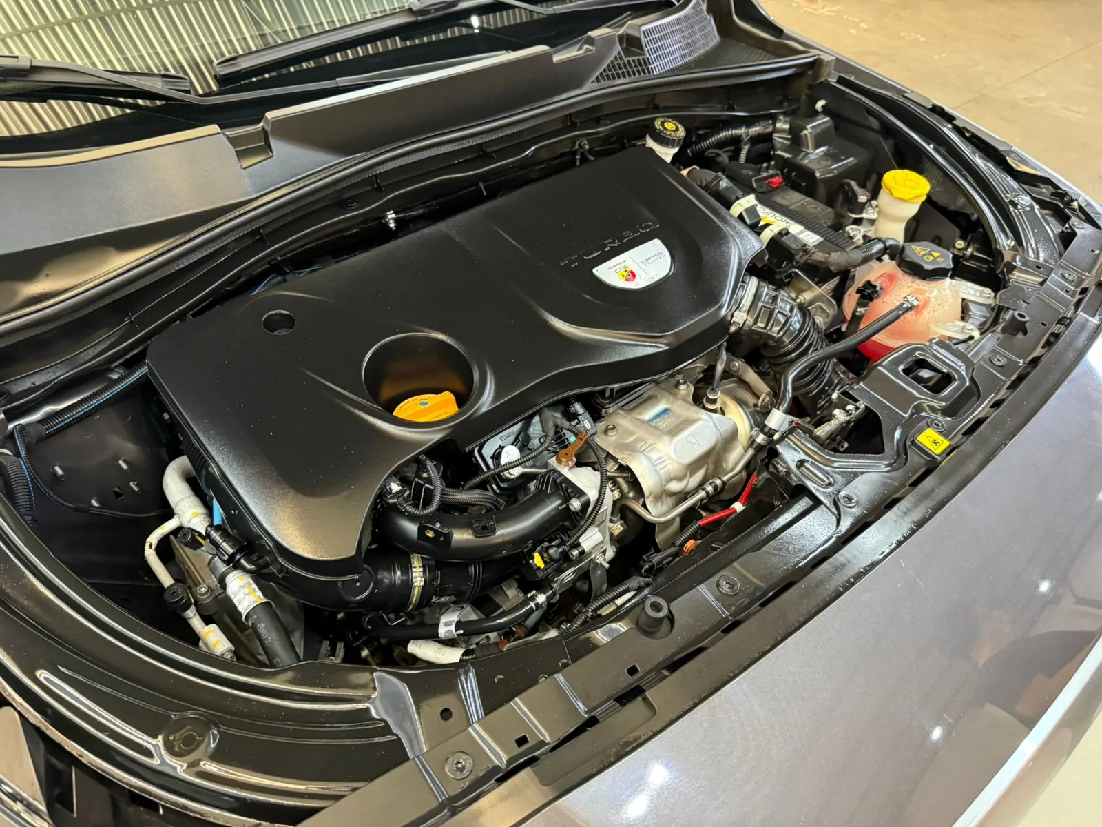 WhatsApp Image 2026-04-14 at 19.28.09 (4)