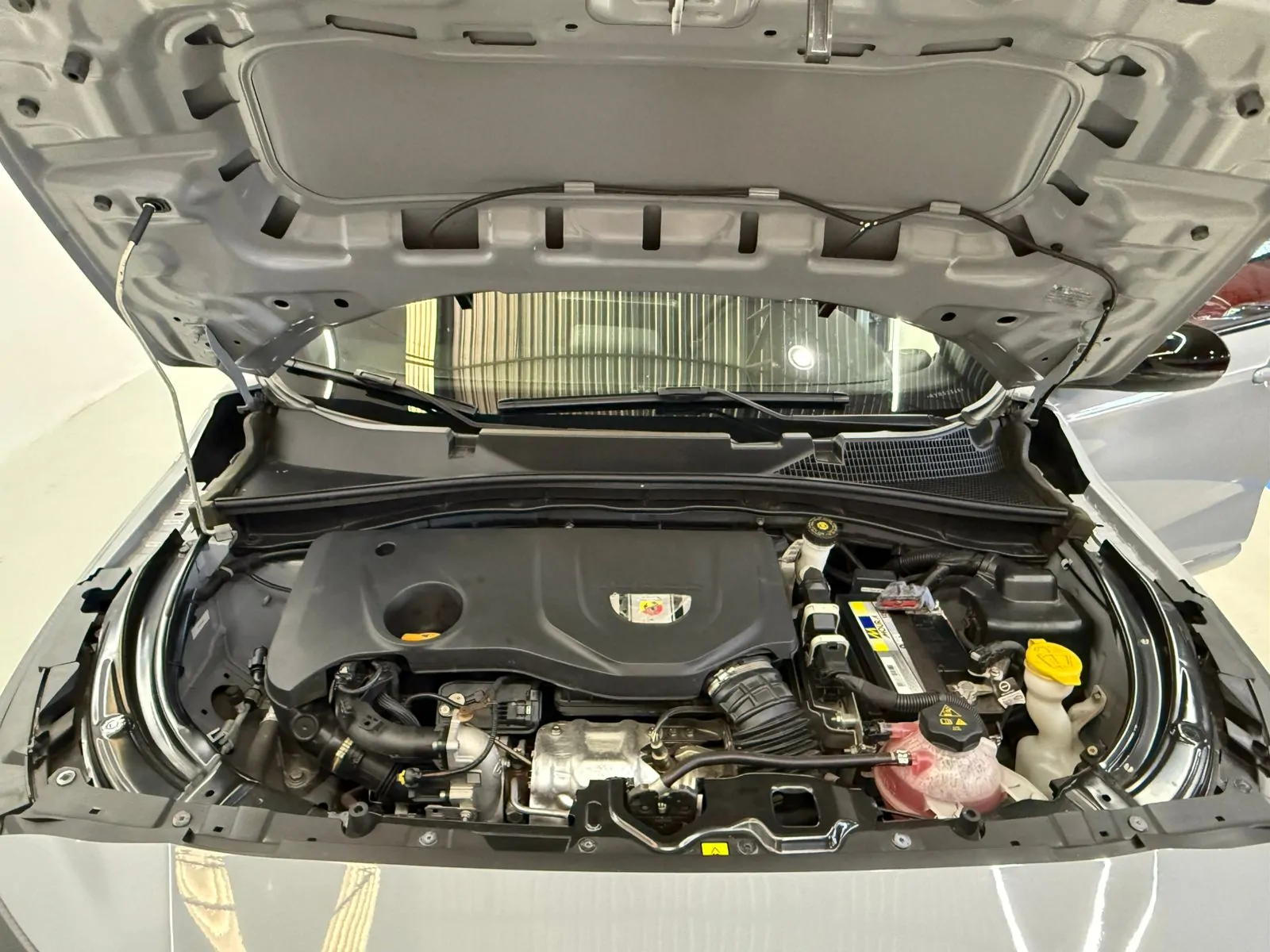 WhatsApp Image 2026-04-14 at 19.30.18 (4)