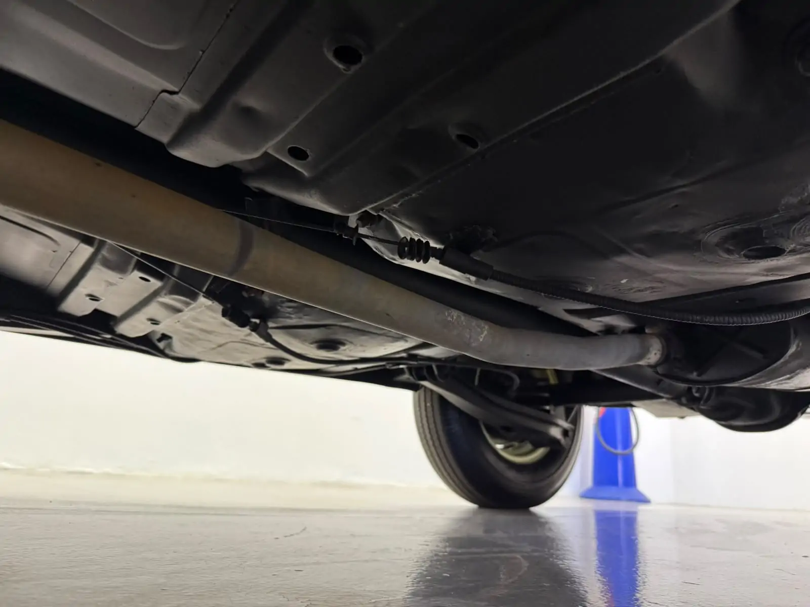 WhatsApp Image 2026-08-21 at 11.03.55 (3) WhatsApp Image 2026-08-21 at 11.03.55 (3)
